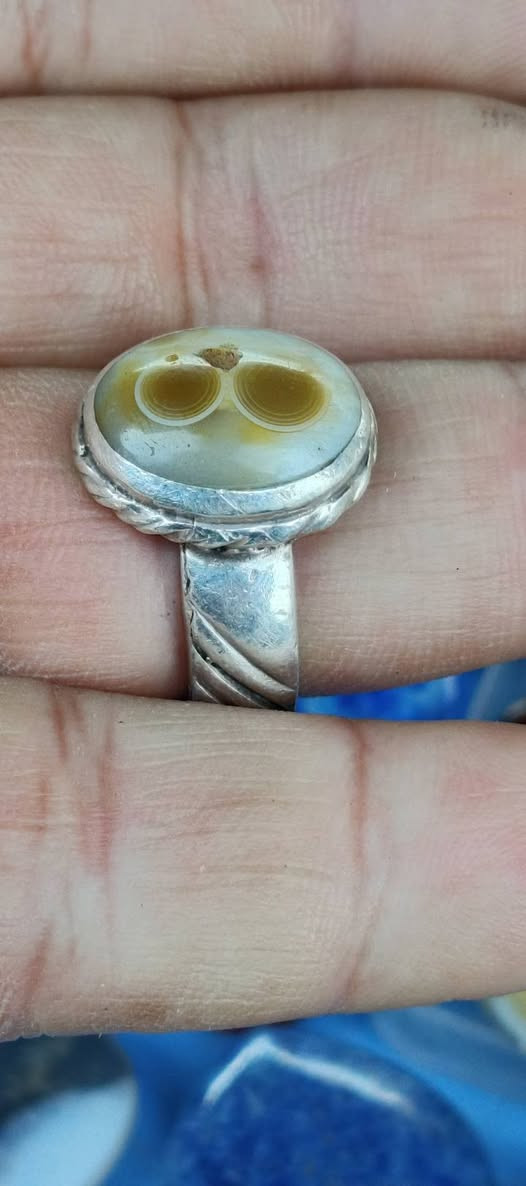 للعشاق سليماني للبيع


**إذا كنت صاحب هذا الإعلان وتريد حذفه لأي سبب، رجاءا أرسل رسالة إلى الدعم الفني**