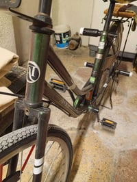 باسكل • جديد • ٧ألوان