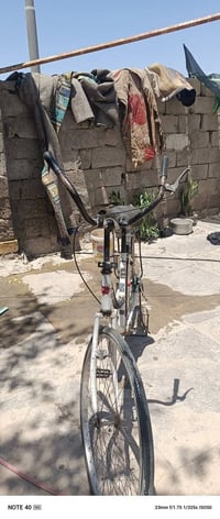 باسكل • مكمل • نضيف