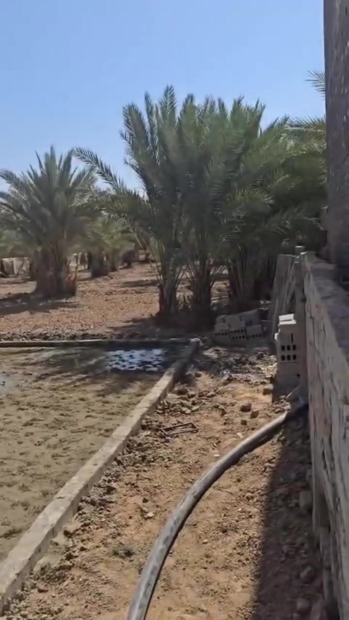 السلام عليكم دونم للبيع في بداية الجمالية يبعد عن الشارع العام اقل الكيلو متوفرة كافة الخدمات ماء كهرباء مجاري ..يحتوي على بيت فلاحية السعر 285 مليون وبي مجال للاستفسار الاتصال على احد الارقام *********** 
***********
