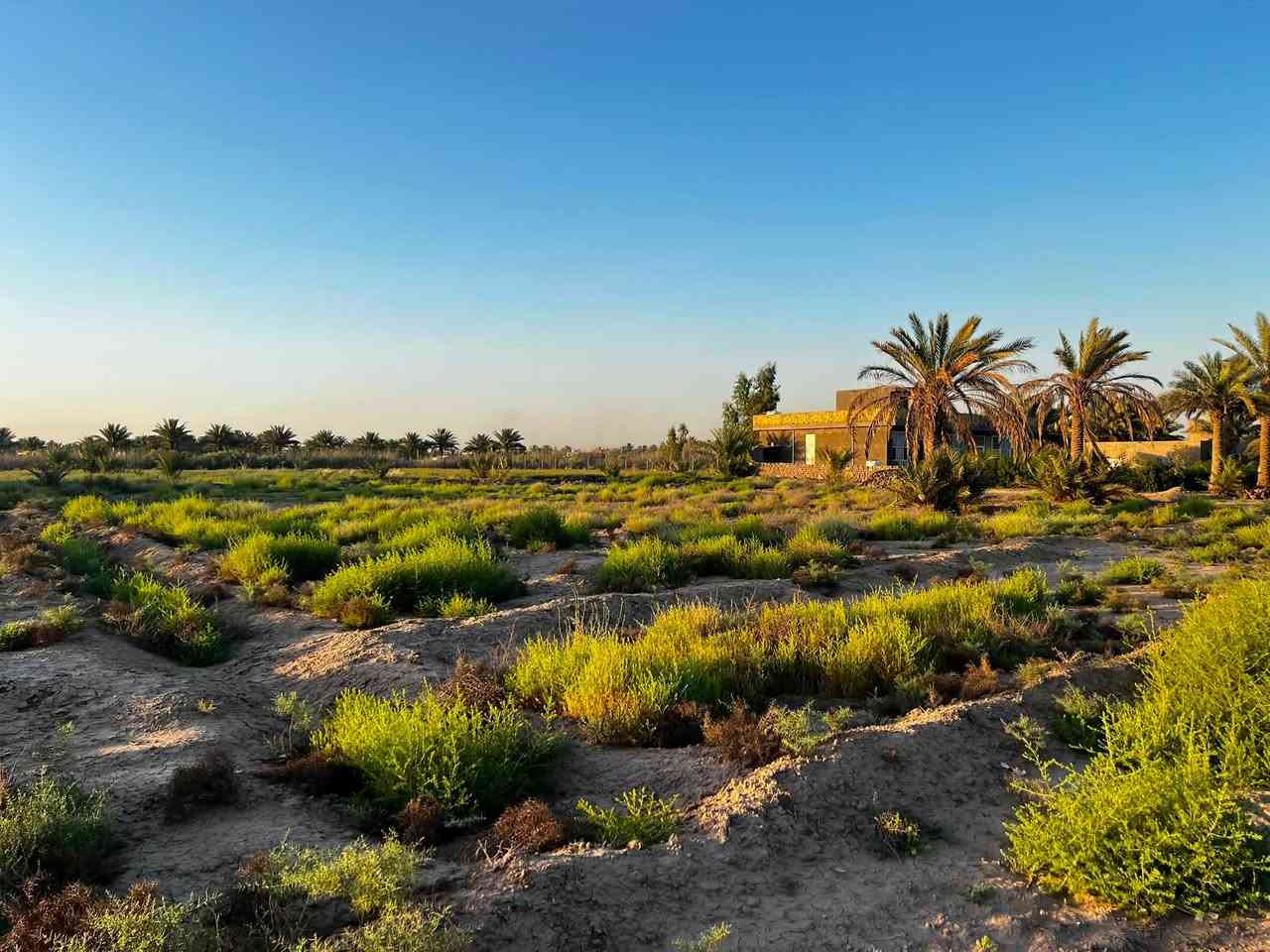 نص دونم سكني للبيع 1250 متر 

طابو زراعي سند 25 نقل ملكية مباشر باسم المشتري 

كامل خدمات ماء وكهرباء ماء اسالة مستمر 24 ساعه 

الموقع طريق حلة نجف مجاور جامعة بابل 

للاستفسار ***********
