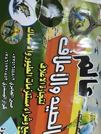 عالم العفاف • أعلاف وطيور • صيد وأسماك