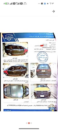 دورنكو • ٢٠١٥ • ضرر خفيف