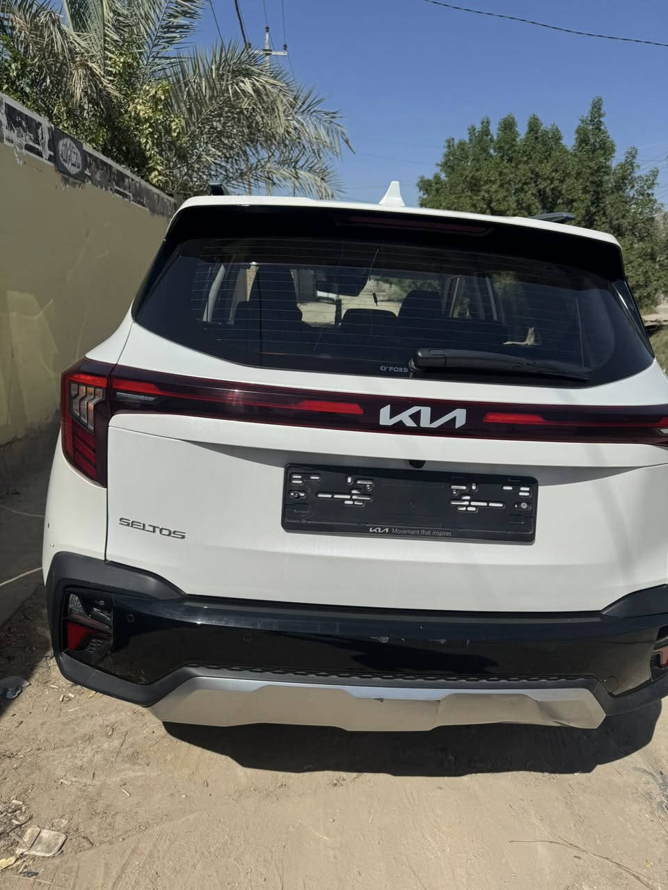 السلام عليكم سليتوس البيع 2024المكان بابل ***********
