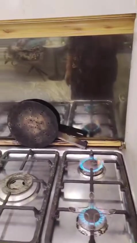 للبيع طباخ خمس عيون عينين مسدودات والباقي كله شغال حته الفرن السعر ١٠٠ الف
مرايه وداخلها تعليقه مال اكسسوارات السعر ٤٠ًالف


**إذا كنت صاحب هذا الإعلان وتريد حذفه لأي سبب، رجاءا أرسل رسالة إلى الدعم الفني**
