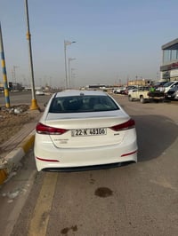 الانتره • ٢٠١٧ • وراد امريكي