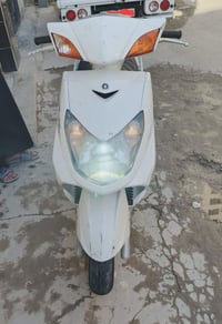 سكنس فحل • مامفتوح • معدل فول