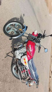 قلعة سكر • 150 سي سي • اوراق كاملة