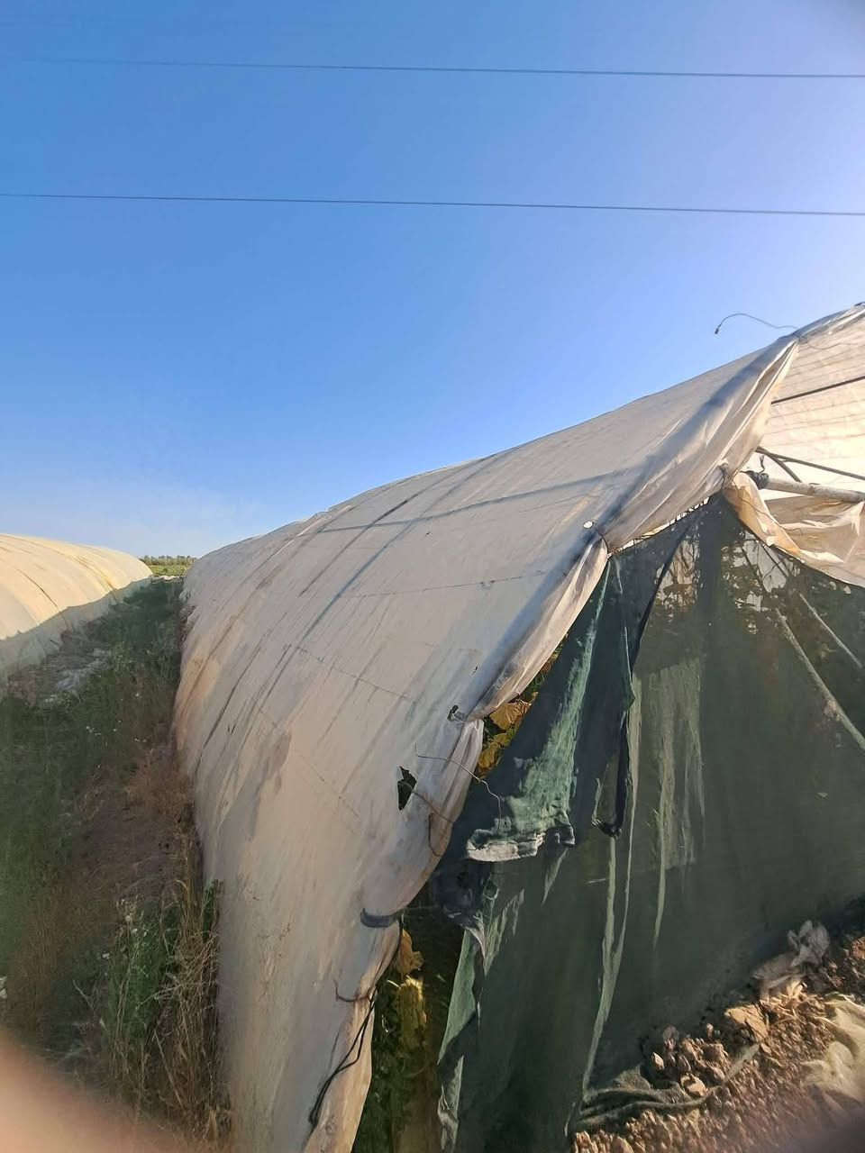 السلام عليكم بيوت العدد ثلاثه واحد امريكي 20 قوس واثنين نوع عراقي مغلوان كامل مع النايلون المكان بابل  الجبله ‏‪***********‬‏
