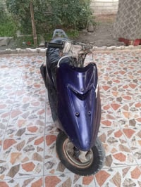 عصفوري للبيع الأستفسار 07771661785