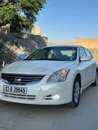 التيما • ٢٠١٠ • بغداد باسمي