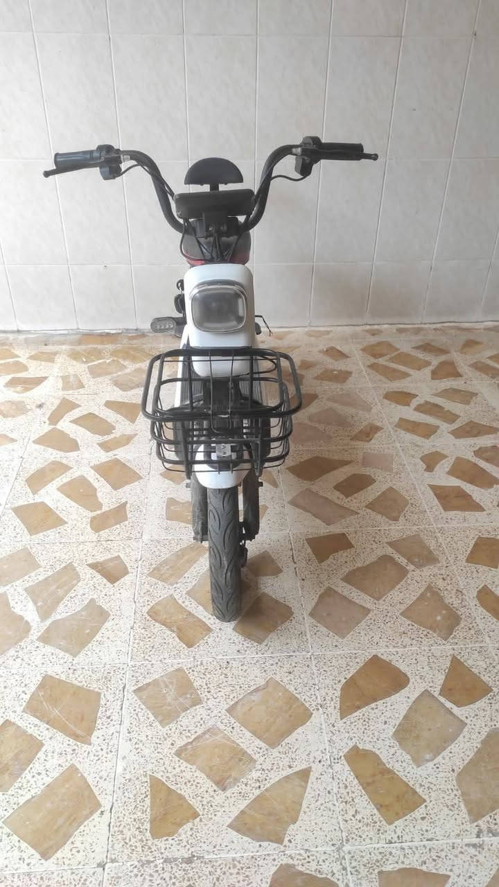 بايسكل نظيف البطارية عاطله ينرادلهه تبديل أربيل, العراق


**إذا كنت صاحب هذا الإعلان وتريد حذفه لأي سبب، رجاءا أرسل رسالة إلى الدعم الفني**