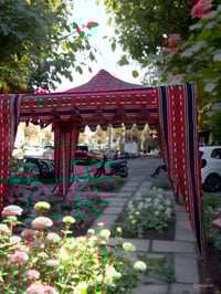 خيمه القاضي • درجه اوله • زينه رمضان