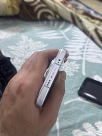 كامون ٣٠ بريمر • فطر خفيف • مكفول