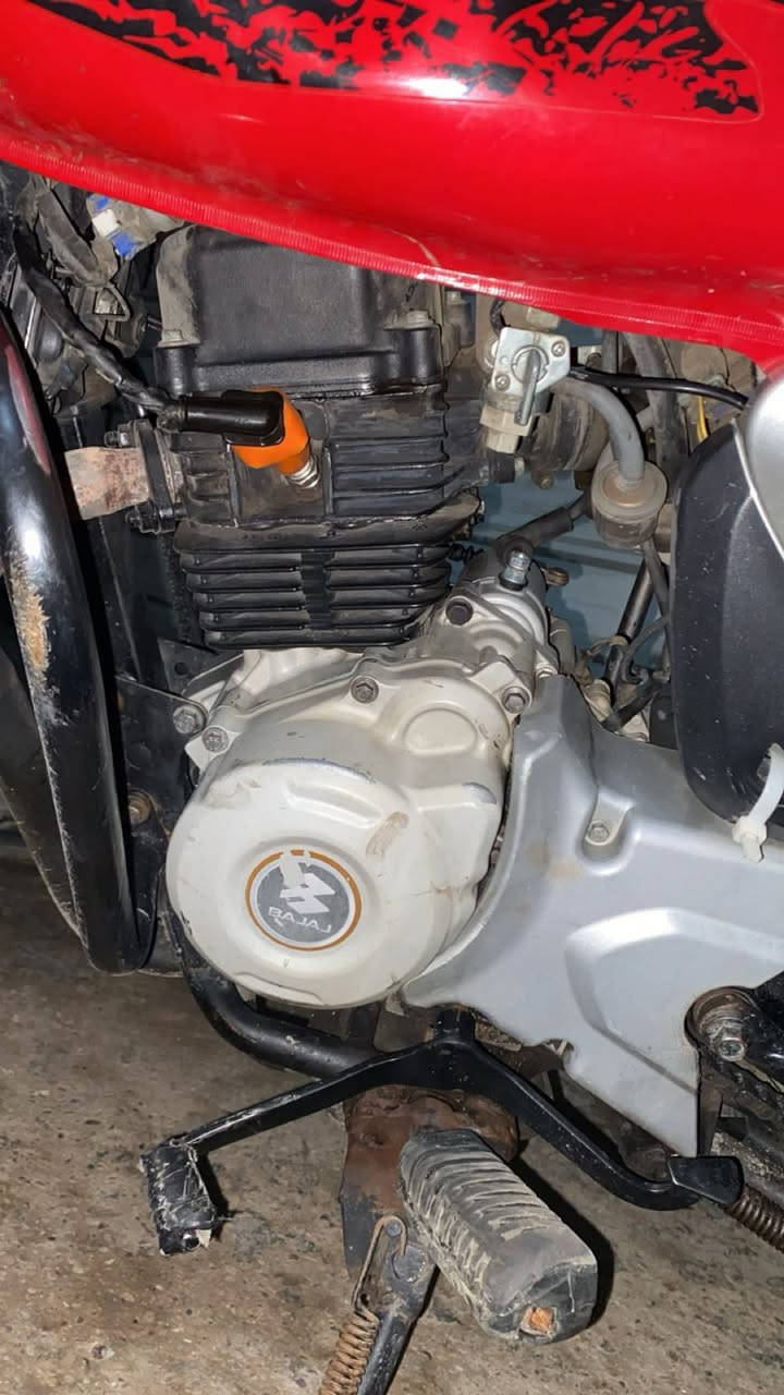 دراجة بوكسر كلشي مابيها فقط  لاستيكات مال دبل مابيها اوراق اريد ابيعها اقبل اصورني من تشتريها مكاني بغداد حي جامعه شراي يراسلني على خاص الي مو شراي لا يراسل فدوه اروحلكم 2023


**إذا كنت صاحب هذا الإعلان وتريد حذفه لأي سبب، رجاءا أرسل رسالة إلى الدعم الفني**