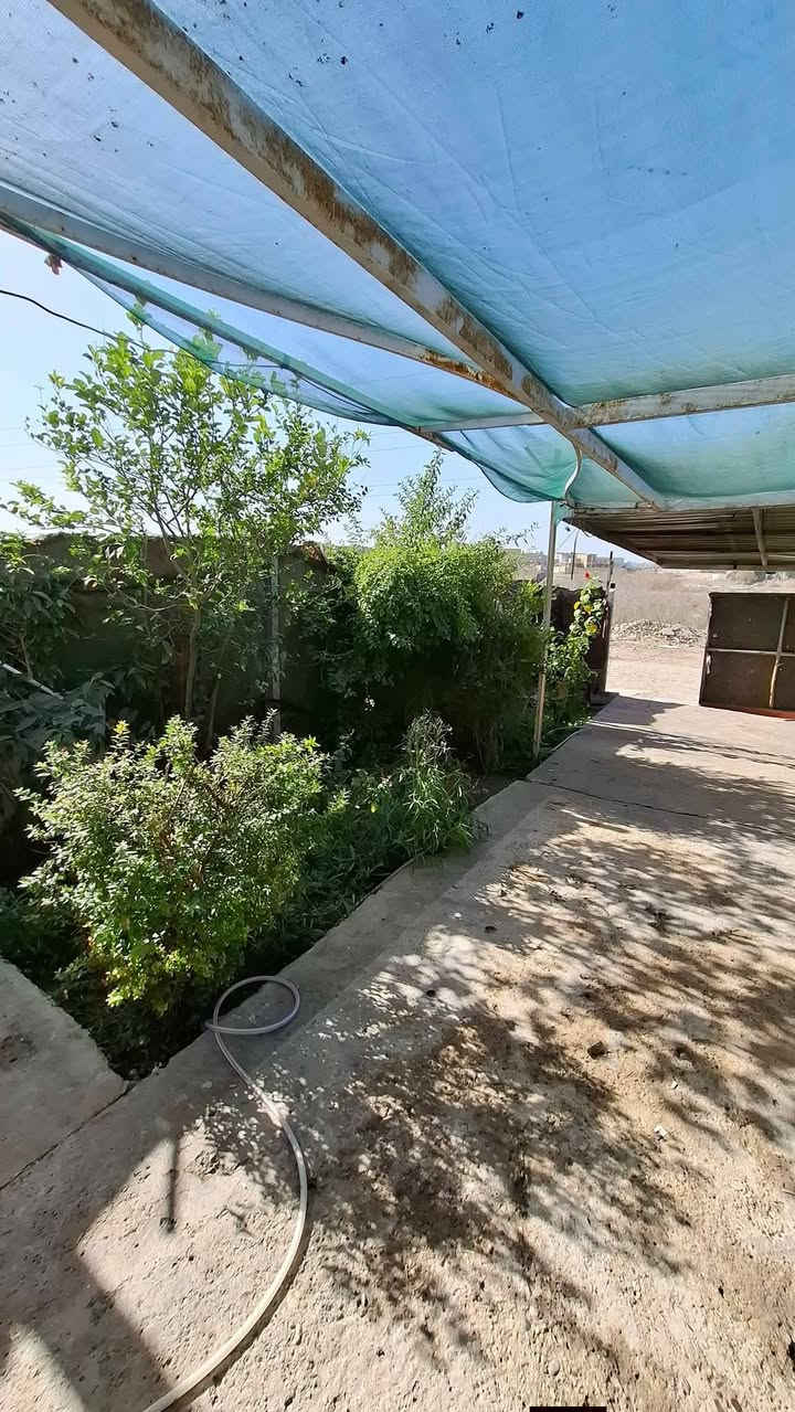 بيت 100 متر طابو صرف سكني
5×20

المكان شارع 100 محيزم 2  يقع  على ساحه خضراء وشارع 30
كافة الخدمات 
يوجد فيه 2 غرف نوم وصاله ومطبخ وستقبال
حديقه خارجيه 
بيت البناء جديد 2018
للاستفسار الاتصال على الرقم ***********
