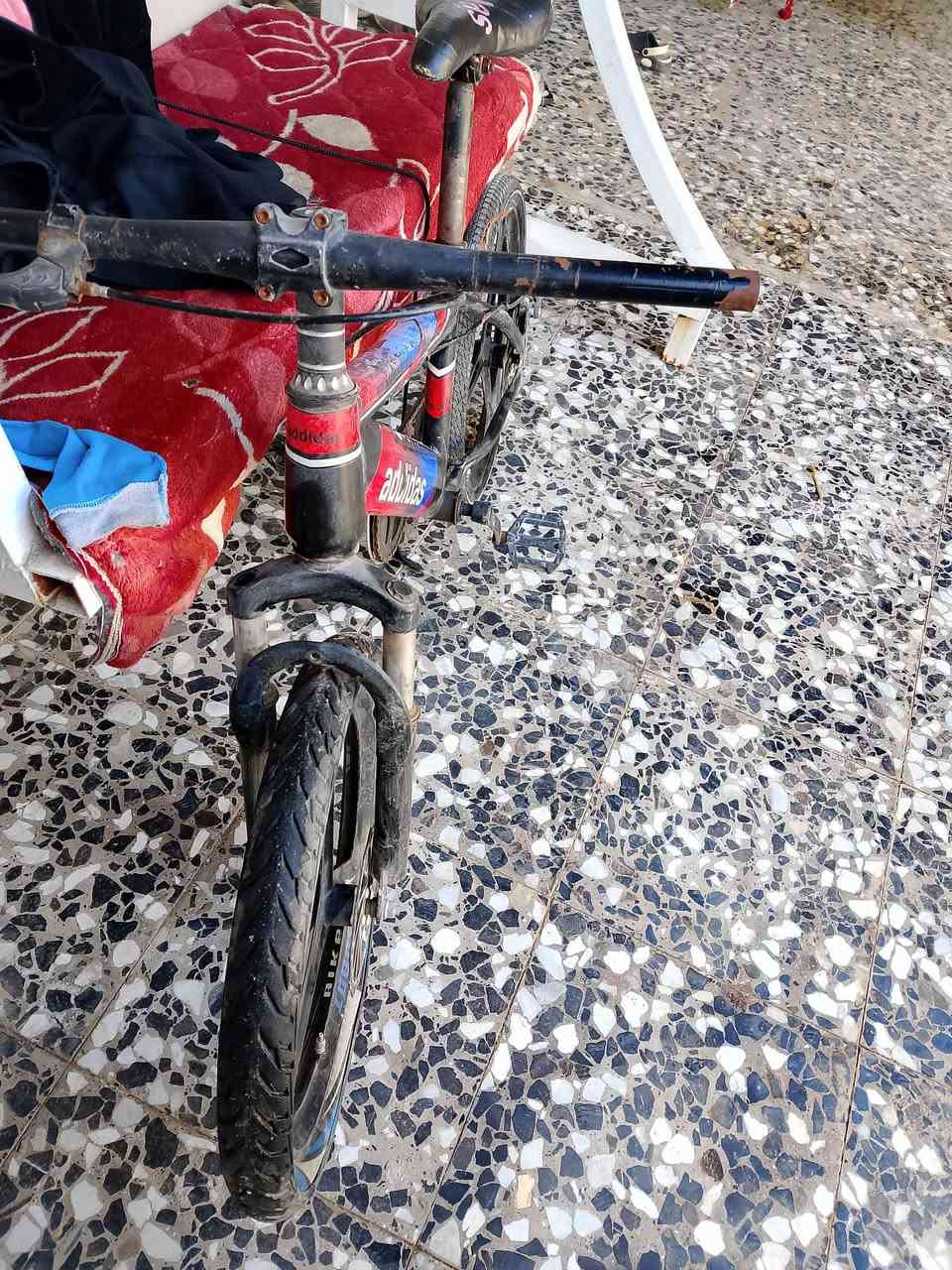 السلام عليكم شباب بايسكل اللبيع جبلي نضافه 80 بل ميه جديد مكاني ميسان اتصل على ***********
