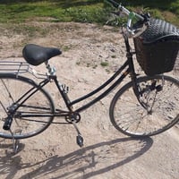 بايسكل • الضلوعية الحردانية • للبيع