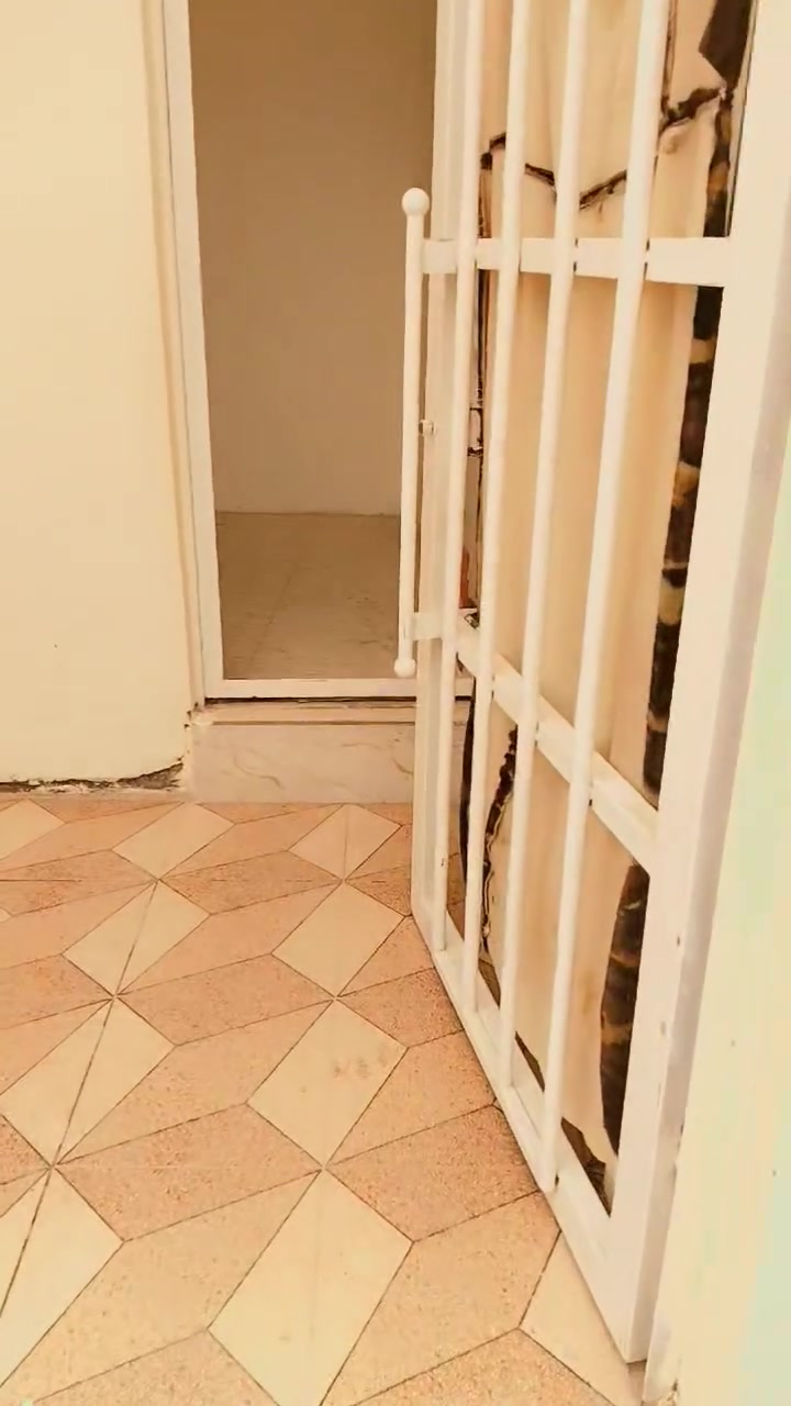 السلام عليكم للايجار ايجاره مال عائله صغيره جديد مكانه بعقوبه المركز قنطرة خليل الباشا الاستفسار ايجاره ٢٠٠عدا دلاليته الاستفسار ع الرقم ***********
