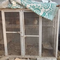 كربلاء الشبانات • قفص • ٢١٠×١٥٠×١م