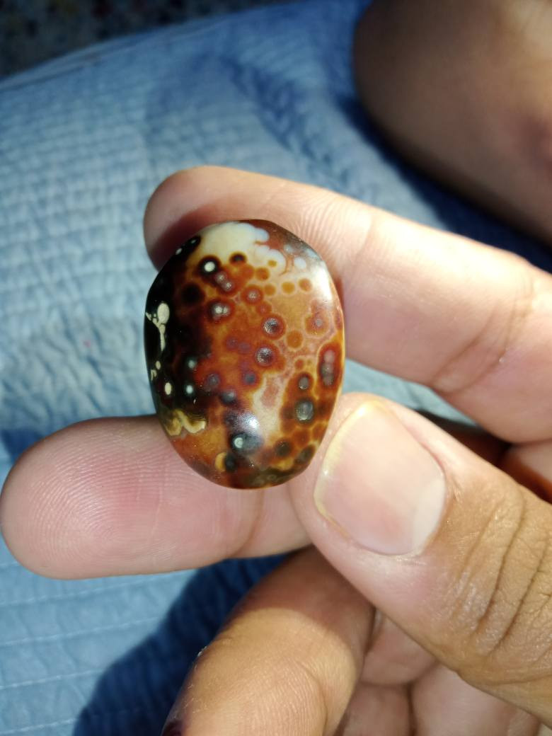 احجار داودي وسليماني احجار أصليه سعر الحجره ( 5الاف) مكاني بغداد مدينة الصدر 
توصيل ماعندي بغداد, العراق


**إذا كنت صاحب هذا الإعلان وتريد حذفه لأي سبب، رجاءا أرسل رسالة إلى الدعم الفني**