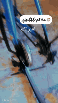 سلام عليكم ورحمة الله وبركاته شلونك شباب بايسكل بالون سمائي بناتي حجم كبير 26 كامل مكمل خالي من اي عطل وبايسكل نضيف كلش نضافه 80الى90بلميه ويا قراضه وجاملاقاته كاملات الاعنوان ناصريه مستشفى التركي قرب مدرسه ابراهيم الخليل ع السعر 60وبيه مجال حك جيه الطيبين شرط الفحص الاسفسار اعلى الرقام التاليه ***********والرقم الثاني ***********❤ ❤😍🌹👽
