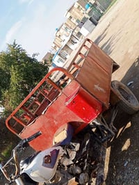 ستوته • للبيع • كاطون الرزي