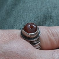 عباسية • قديمة