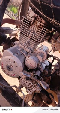 ستوته • موديل 2016 • أوراق كاملة