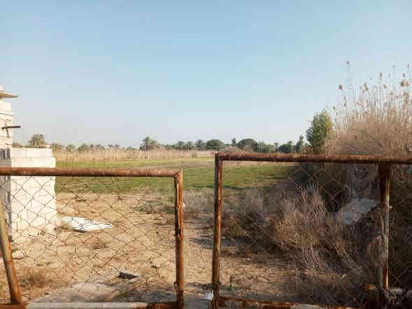 5دوانم للبيع سند 25 زراعي باسم شخص واحد خدمات كامله منطقه هدوء وكهرباء وسقي اليوسفيه قرب مزرعه سبعاوي للاستفسار على رقم ***********
