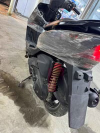 ثعلب • نظيفه • حك الجيه