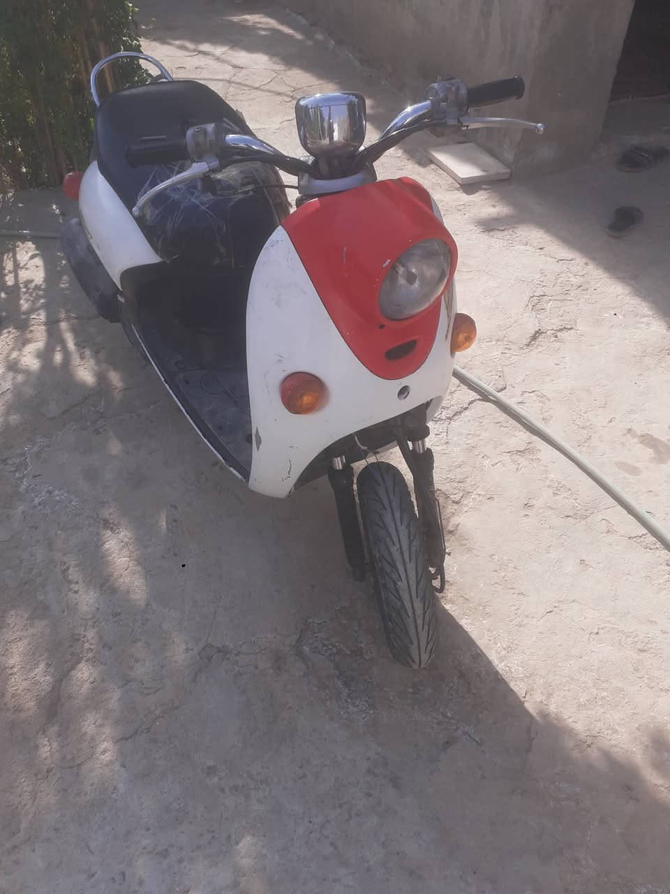 متاح دراجة اللبيع *********** الدفاس السعر ١٥٠
