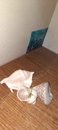 ديكور منزلي • متفرقات