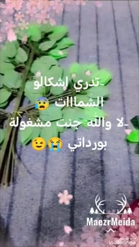 جوري • ورد امتار • الهاندميد