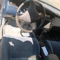 بطه • ١٩٩٢ • ام نعاج