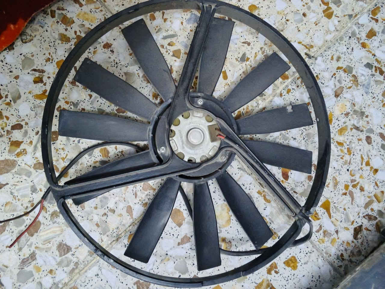 شغاله اخت الجديده25الف***********
