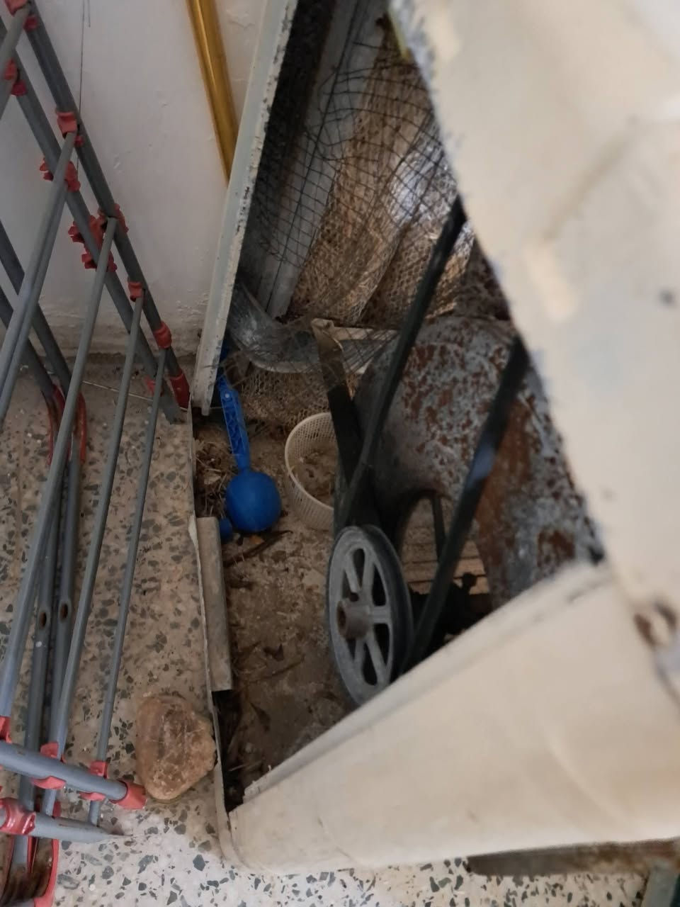 المبردة ٦٥ الف
الساعة ١٥ الف 
***********
