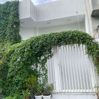 داره كناره • زراعي • ١٠٥م