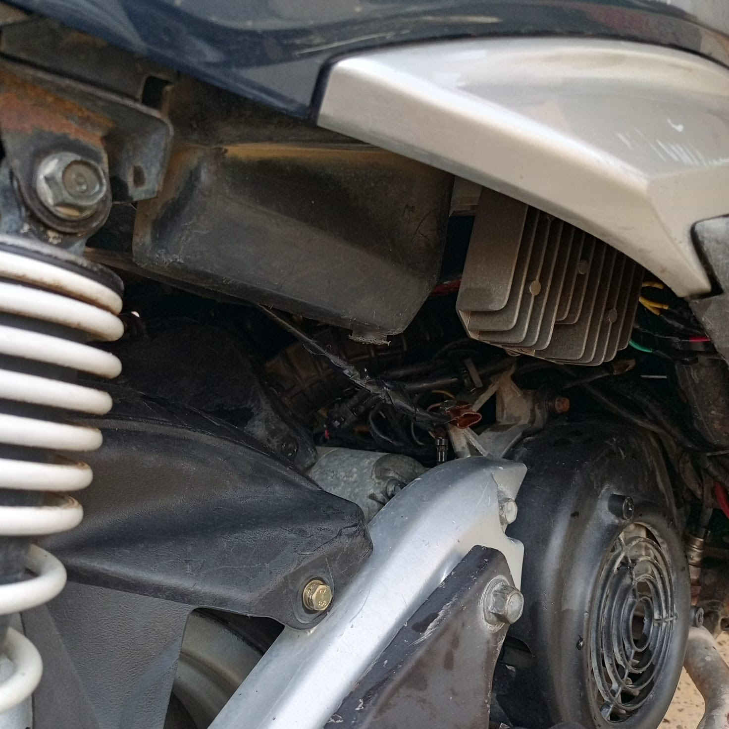 سكنس فحل نوزل بلاديه مكاني زعفرانيه ***********
