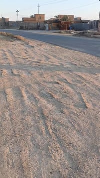 صدكه • ٤ دونم • وجهيه ٤٢