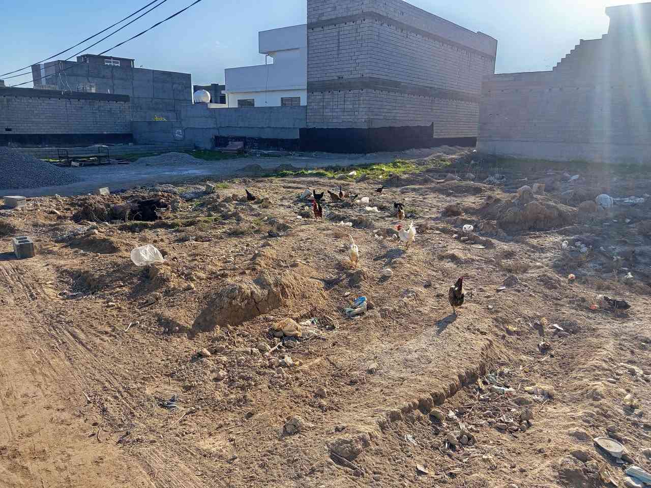 قطعة ارض 200م للبيع طابو زراعي سند 25 مكاتبه ووكاله بعقوبة برغه على النهر قريبه عن الشارع العام ماء وكهرباء خط مولد السعر 42مليون وبيه مجال للشراي للاستفسار خاص او ***********
