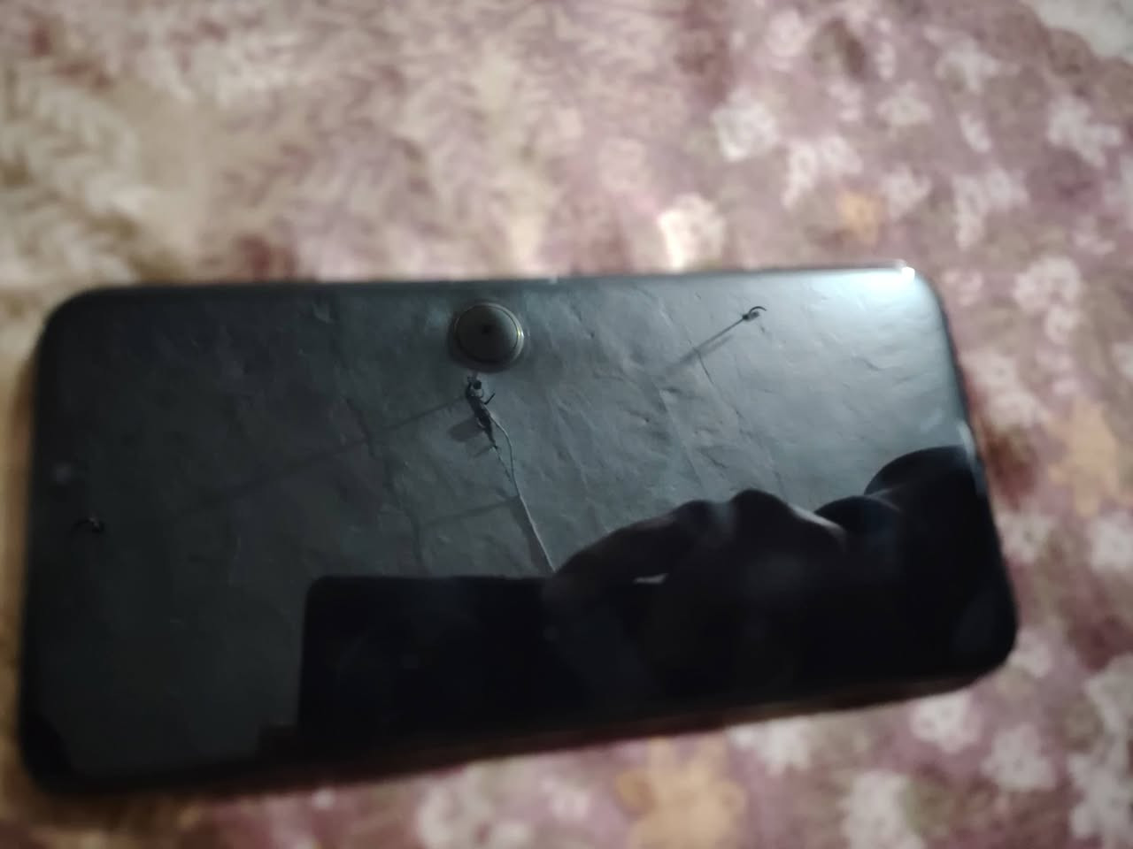 سلام عليكم
ايفون اكس ماكس ذاكره 256 مبدل بطاريه فيس ايدي متوقف باقي الجهاز كله بلادي مراوس شعندك نزل بس كون قوي بل العاب


**إذا كنت صاحب هذا الإعلان وتريد حذفه لأي سبب، رجاءا أرسل رسالة إلى الدعم الفني**