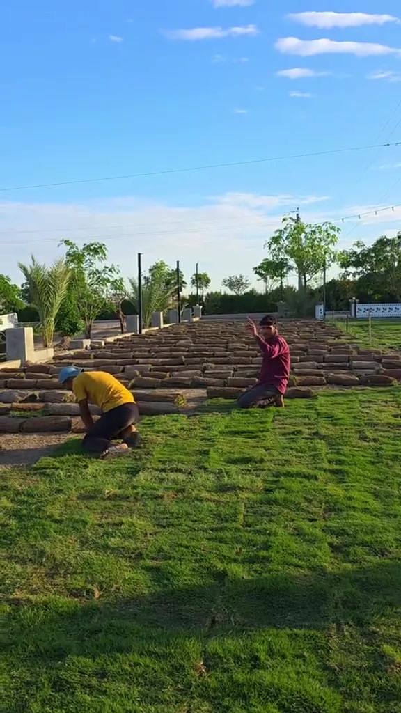 🌿 مزرعة ابراهيم للثيل الطبيعي 🌿
ثيل هندي طبيعي 100% ✅
ومتوفر لدينا فرنسي - إنكليزي - هندي - إسباني

🚚 توصيل مجاني إلى كافة المحافظات
📦 قدرة تجهيز كميات كبيرة للمشاتل والملاعب

💎 نوعية ممتازة
💰 أسعار تنافسية جداً
👷‍♂️ كادر متخصص بزراعة الثيل بطريقة صحيحة وناجحة
🚪 نوصل لك لباب بيتك

✨ تصميم ديكورات حدائق مميزة وجاهزين نحول حديقتك لتحفة خضراء! 🌳🏡

📞 للطلب أو الاستفسار:
راسل الصفحة أو اتصل على الرقم: ***********

#ثيل_طبيعي #مزرعة_ابراهيم #ديكورات_حدائق #زراعة_ثيل #عروض_الثيل #تنسيق_حدائق🌿 مزرعة ابراهيم للثيل الطبيعي 🌿
ثيل هندي طبيعي 100% ✅
ومتوفر لدينا فرنسي - إنكليزي - هندي - إسباني

🚚 توصيل مجاني إلى كافة المحافظات
📦 قدرة تجهيز كميات كبيرة للمشاتل والملاعب

💎 نوعية ممتازة
💰 أسعار تنافسية جداً
👷‍♂️ كادر متخصص بزراعة الثيل بطريقة صحيحة وناجحة
🚪 نوصل لك لباب بيتك

✨ تصميم ديكورات حدائق مميزة وجاهزين نحول حديقتك لتحفة خضراء! 🌳🏡

📞 للطلب أو الاستفسار:
راسل الصفحة أو اتصل على الرقم: ***********

#ثيل_طبيعي #مزرعة_ابراهيم #ديكورات_حدائق #زراعة_ثيل #عروض_الثيل #تنسيق_حدائق
