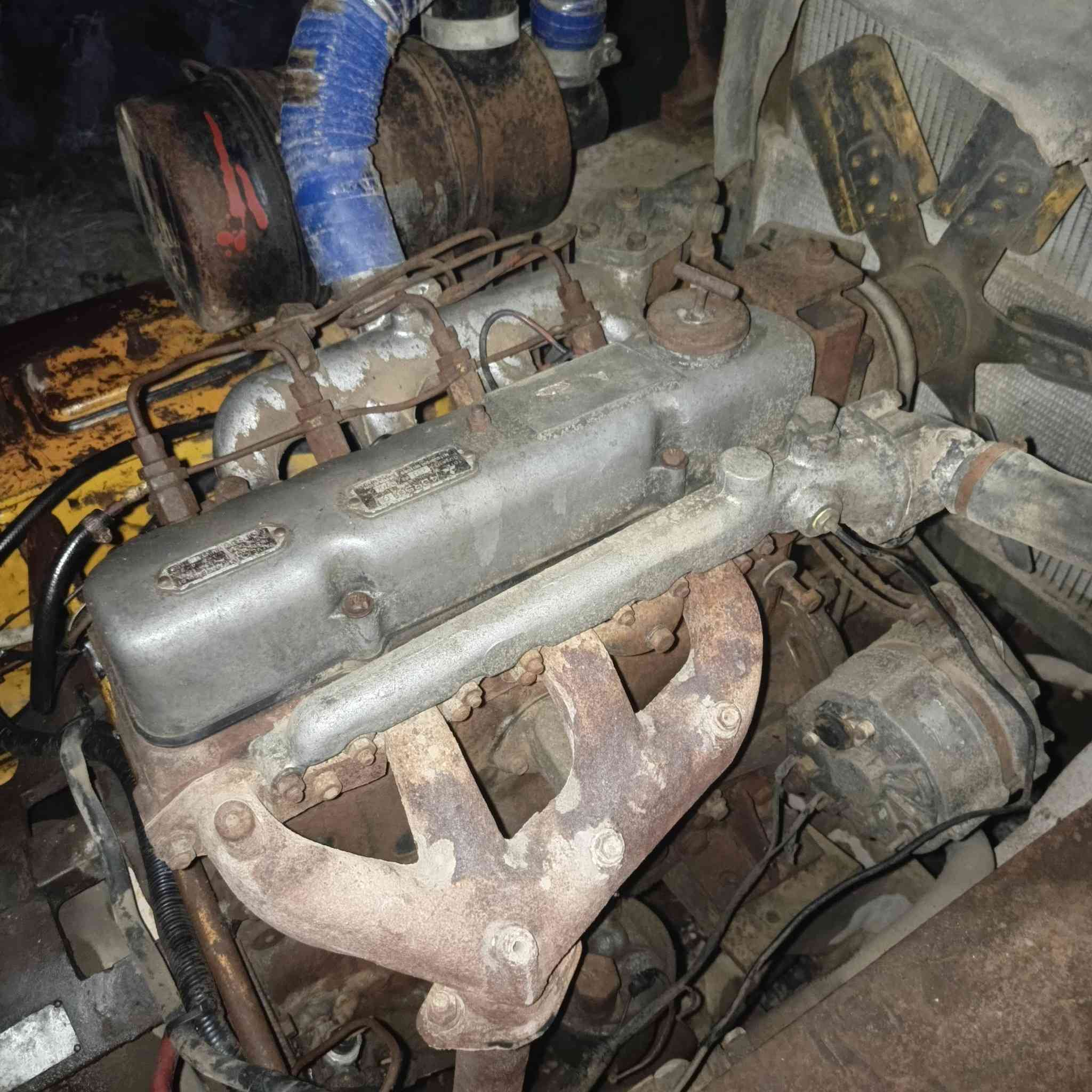 شوكية سعر ***********
