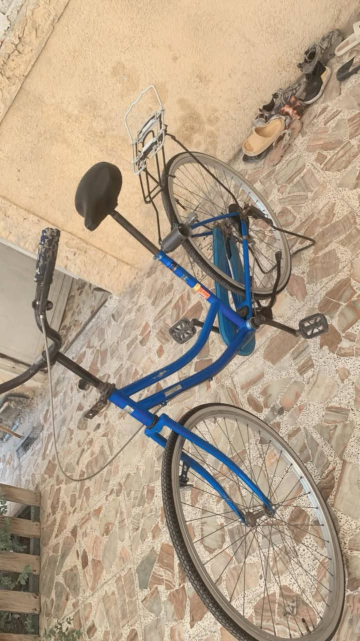 سلام عليكم باسكل بطه بناتي باسكل كلش نضيف مابي اي نقص سعره خاص مكاني بغداد ***********
