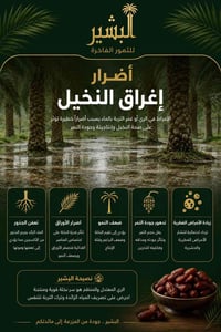 غمر النخيل • تسميد • الحلة