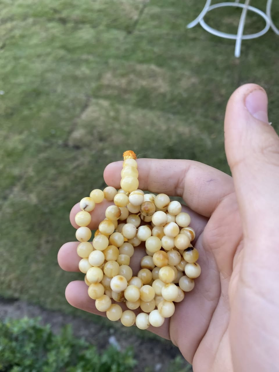 السلام عليكم 
سبحه كهرب بولني حر طبيعي جبني عل فحص
الوزن:21
عدد:101
السعر:35 الف 
للتواصل *********** او تتفضل خاص
