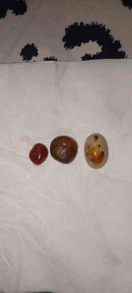 البيع شلع وفرد سعر مناسب خواتم قديم شغالات فول  مخطوطه روحانيه قويه الحجر مالهن وبيهن صياغه ثقيله سلجوقي ويدويه  كلمن وسعره  سوار فضه شاكرات  وكلايد  قديمه روحانيه وصره غزال فواح عطر مسك دام كلمن وسعره فقط اتصل على الرقم *********** رايدهن فقط علا الاتصال مامتواجد علا فيسبوك جادين فقط  وشراي احتى الاتعبني ولاتعبك ماعندي توصيل من رخصه الادمن المحترم وافق ربي يوفقك بغداد المكان
