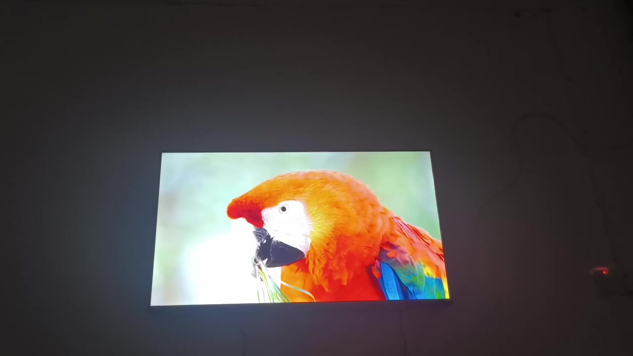 شاشة فيليبس ألماني للبيع استعمال شهر ملحقاتهه كاملة
نضام جوجل تي في 
4K 120 فريم
كلش مناسبة لل عنده بلي 5 او اكسبوكس الفيديو الي ناشره ضالمهه دقتهه رهييبه + باقي المواصفات مذكروره بالصور 
السعر راسلني خاص او على رقمي وكلشي سهل *********** مكاني الناصرية مركز
