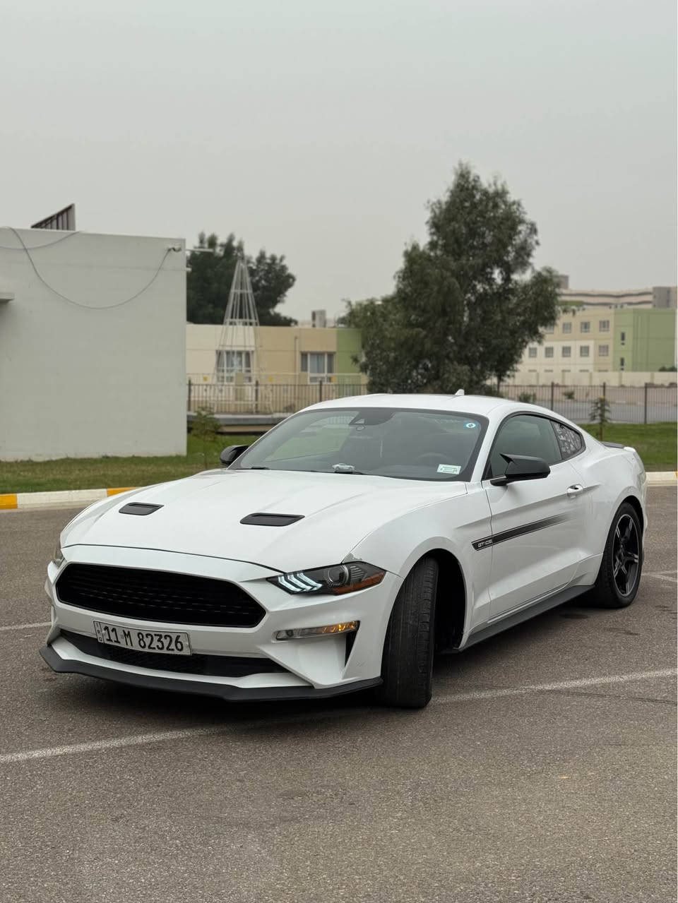 السلام عليكم
🔔 ملاحظة: السيارة بيع أو مراوس

🚗 للبيع فورد موستنك GT
📅 موديل: 2022
📍 رقم بغداد – باسمـي – تحويل مباشر

🔹 الترايك: جميل 
🔹 الحالة: سيارة شركة، ما بيها برغي نقص
🔹 المشي: 20 ألف

⚙️ المواصفات:
 • رادار أمامي
 • رادار جانبي
 • تحديد مسار
 • حساسات خلفية
 • شاشة كبيرة
 • كشنات مخمل
 • كشنات كهرباء
 • كشنات تدفئة وتبريد
 • باقي مواصفات الـ GT كاملة

🔧 الإضافات:
 • تخم ويل CS أصلي جديد
 • تفريغ + داون بايب + H بايب (يم علي الوادي)
 • كزوز MPRP كامل قفايص
 • صوت رعب 🔥
 • برمجة أمريكية – السيارة قوية جدًا

📌 الضرر:
 •
 • قطعتين تبديل نفس اللون
 • بنيد صبغ

🛠 المكينة، الكير، والحدادية بشرط

📍 مكان السيارة: بغداد 
💰 السعر:215 ورقة (قابل للمراوس)

📞 رقم الهاتف / واتس *********** بغداد, العراق
